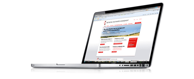 Website Design